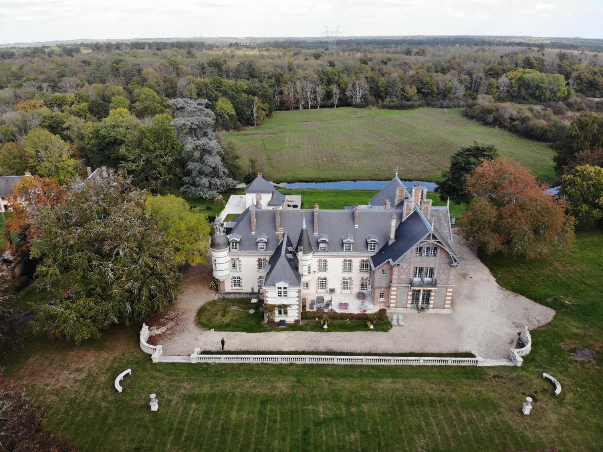 Chateau De La Faye Menetreol-sur-Sauldre Екстер'єр фото