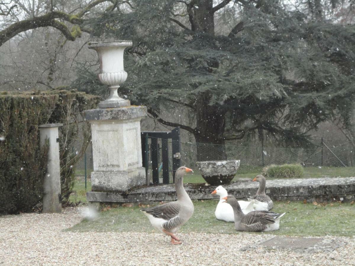 Chateau De La Faye Menetreol-sur-Sauldre Екстер'єр фото